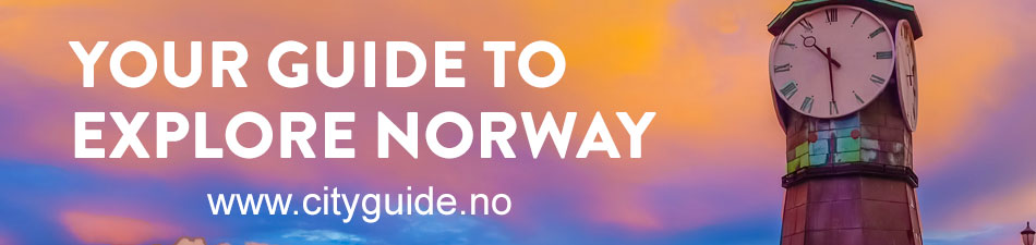 cityguide nettannonse